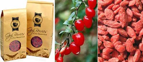 Goji