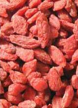 Gojis