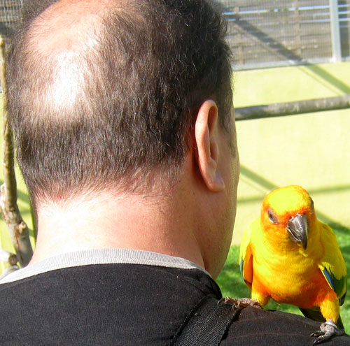 Jardín del Papagayo